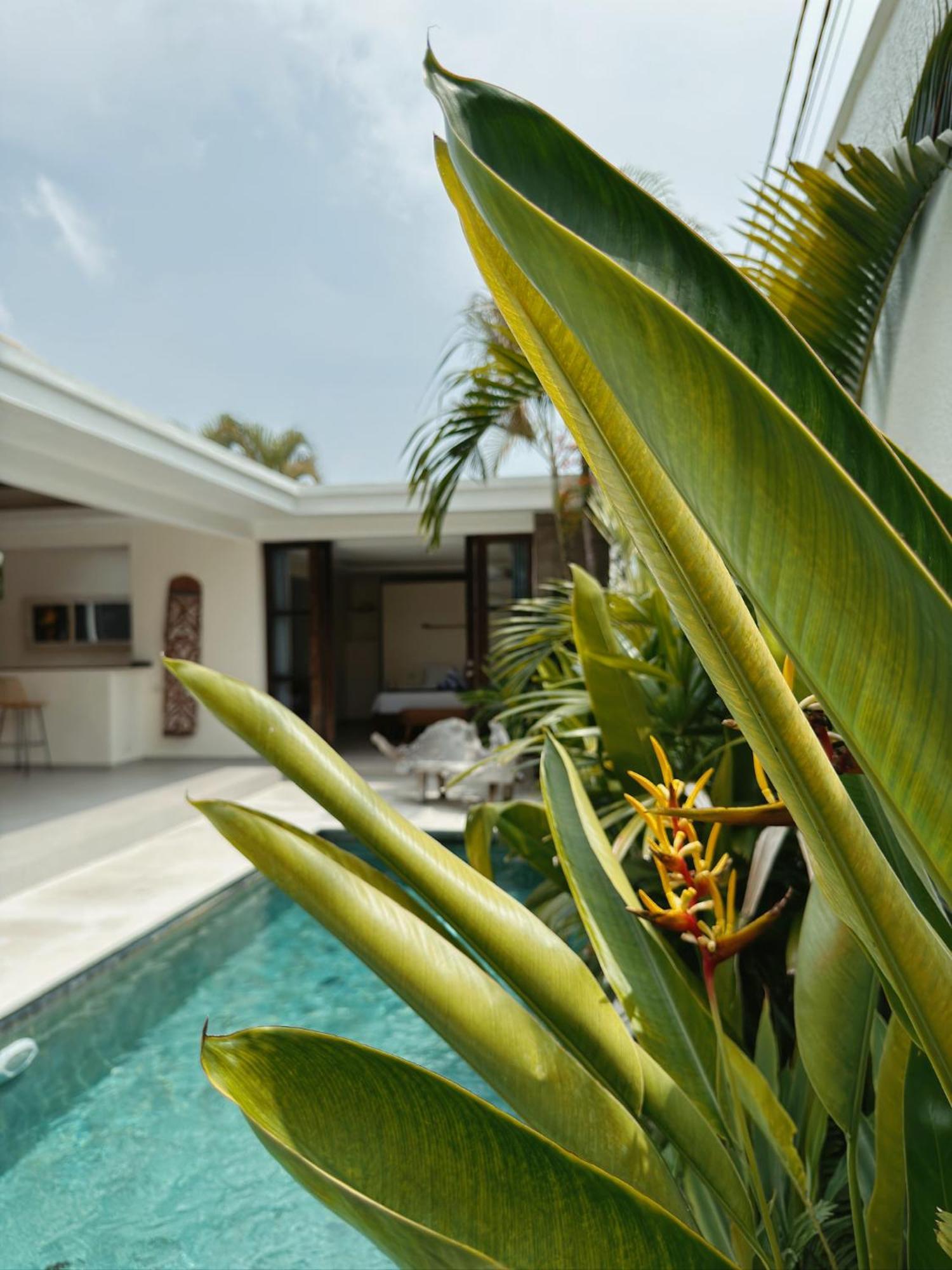 Aster Villa Seminyak Eksteriør bilde